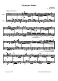 Pizzicato Polka arranged for two cellos (cello duo / duet)